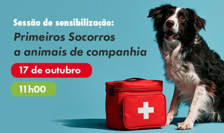 Sessão de sensibilização sobre primeiros socorros a animais de companhia